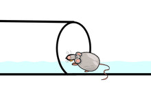 Load image into Gallery viewer, Free Flow Drain Guard