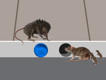 Load image into Gallery viewer, Free Flow Drain Guard